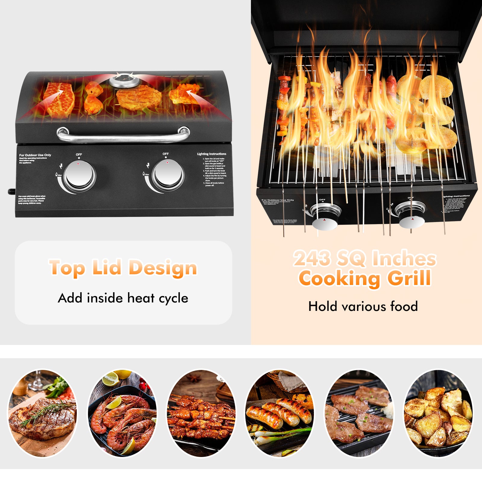 2-Burner Propane Gas Grill 20000 BTU Outdoor Portable with Thermometer